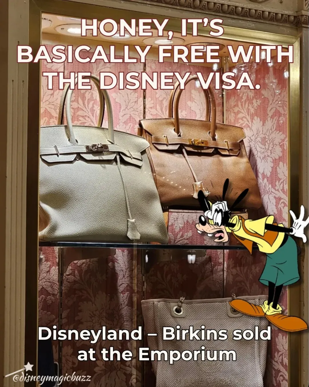 加州迪士尼樂園 Main Street 商店內嘅中古精品櫥窗。除咗 Hermès Birkin 及 Kelly,同場亦展出Chanel、Louis Vuitton 等品牌經典款式,形成罕見嘅主題樂園奢侈品零售場景。