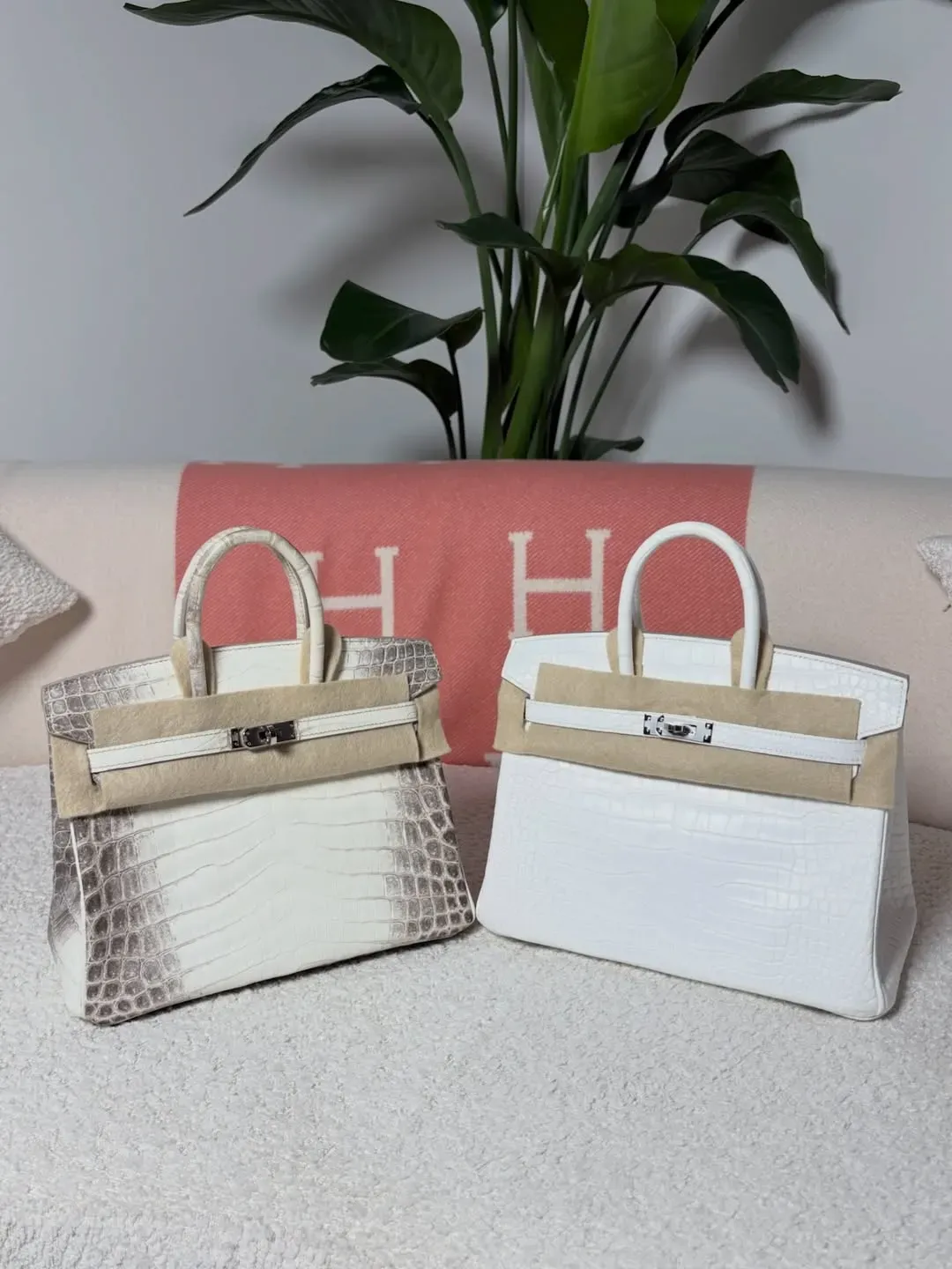 (左圖): Hermès Birkin Himalaya Niloticus Crocodile配Palladium Hardware實物圖片。Himalaya以標誌性雪山漸變效果聞名,為Hermès最具代表性嘅Exotic Leather配色之一。(右圖): Hermès Birkin Crème Chantilly(香緹奶油白)Porosus Crocodile配Palladium Hardware實物圖片。Crème Chantilly以近骨瓷白嘅純淨色調突顯鱷魚皮紋理,展現低調而細膩嘅珍稀皮革美感。