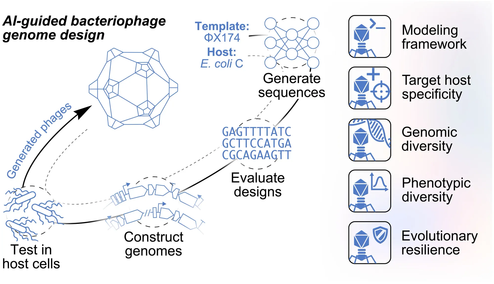 今次由史丹福大學（Stanford University）同位於加州帕羅奧圖嘅 Arc 研究所（Arc Institute）帶領嘅研究，將技術提升到一個全新層次。