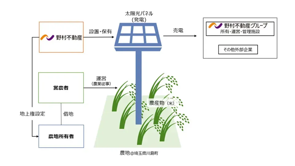 舞台農場唔係唯一案例。千葉縣匝瑳市市民能源千葉公司,喺太陽能板下方栽培有機大豆同有機大麥。更值得一提嘅係,售電收入除支付地主租金同農民合作金之外,仲撥入棄耕農地復耕同地區環境保護活動基金。