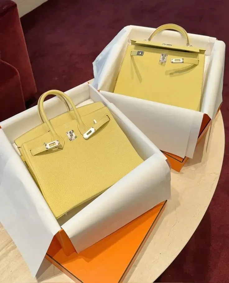 Birkin 同 Kelly 係 Hermès 最具代表性嘅袋款,但網民分享顯示,唔同收藏者到達呢兩款袋嘅路線可以非常唔同。