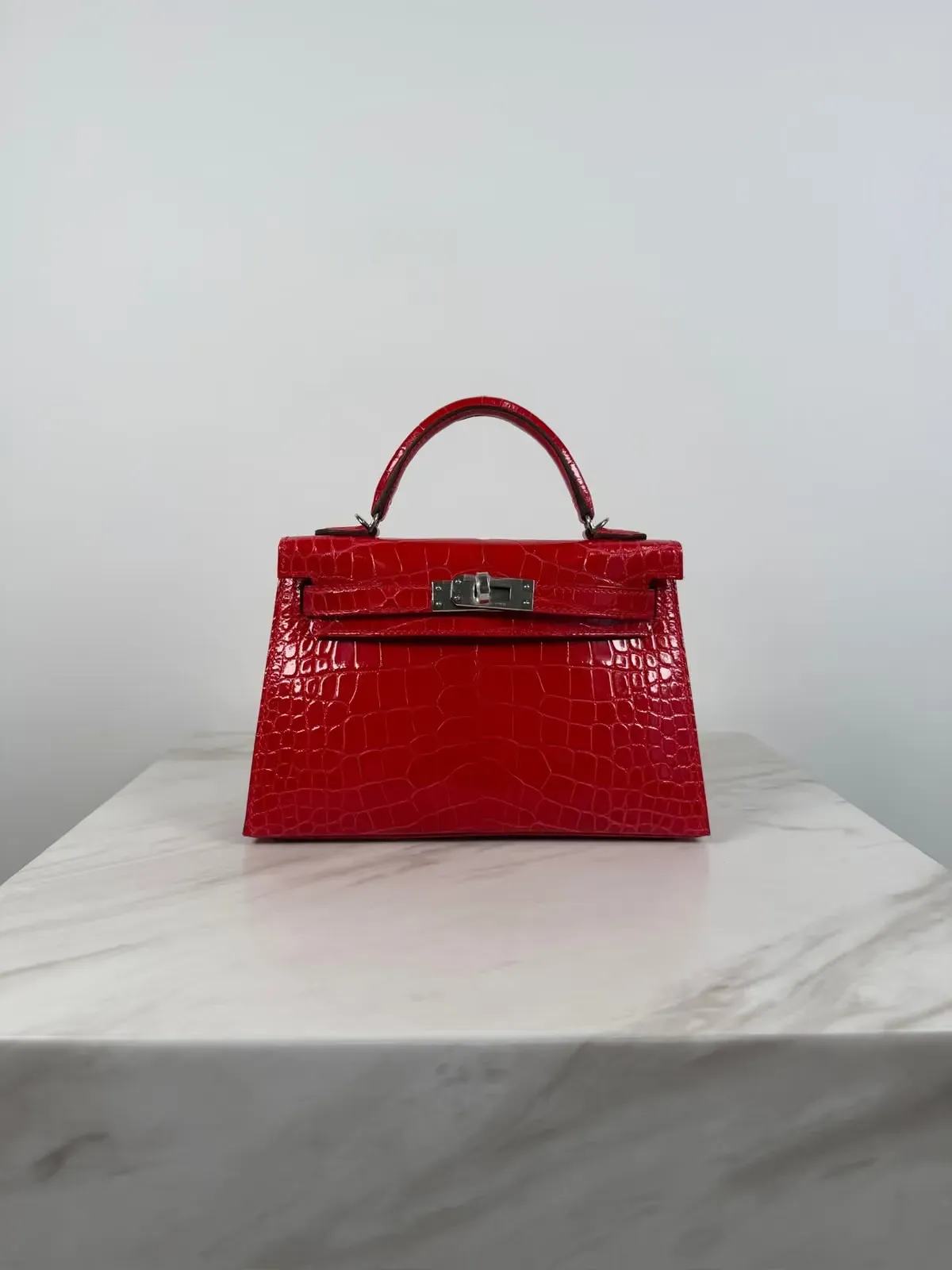 網民分享 Mini Kelly 款式偏好,當中提及顏色、特殊皮革及 Palladium Hardware。