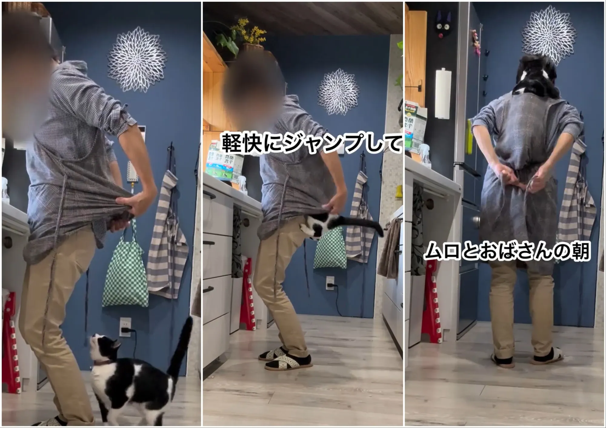 Muro 熟練跳上主人背脊再「入位」,動作自然到似乎早已習慣每日接受呢種BB級待遇。