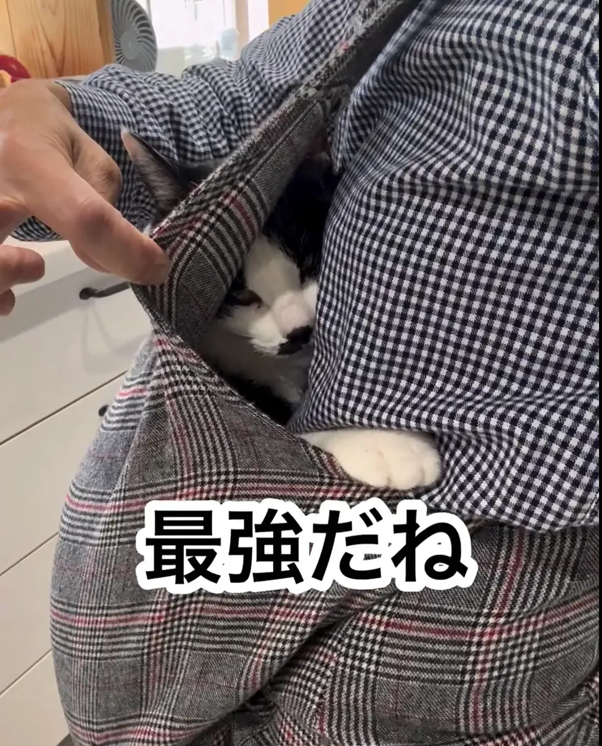 Muro 被主人揹住時一臉滿足,配合圍裙形成嘅位置,令不少網民聯想到BB被媽媽揹住嘅模樣。