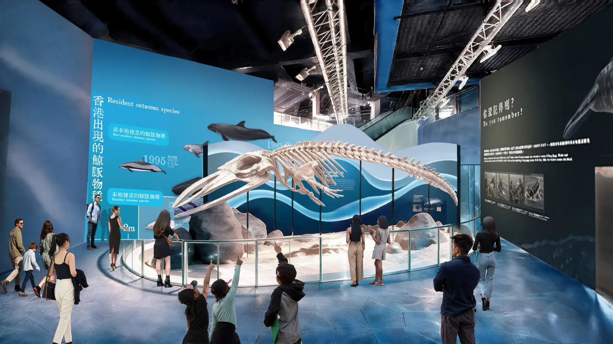 園區將會展出 2023 年喺西貢擱淺、長 8 米嘅布氏鯨(Bryde's whale)完整骨骼標本,讓公眾了解海洋生物保育。