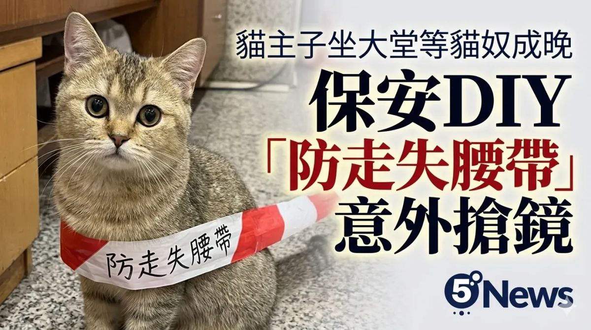 貓主子坐大堂等貓奴成晚　保安DIY「防走失腰帶」意外搶鏡