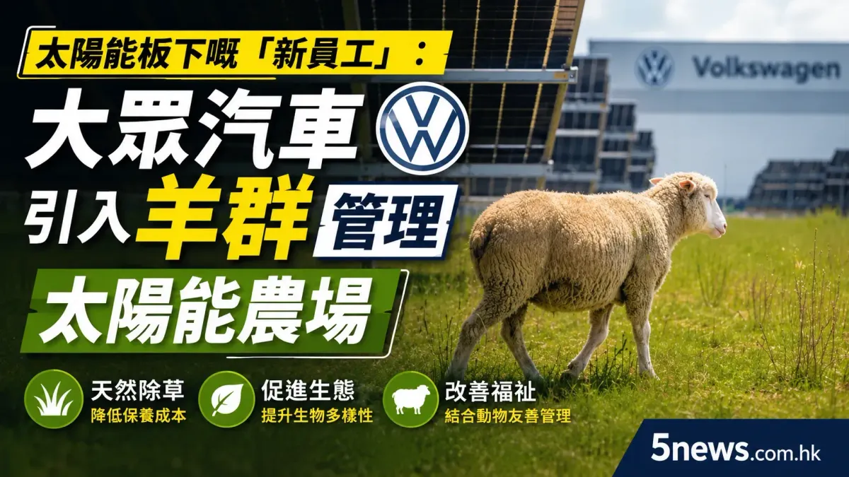太陽能板下嘅「新員工」：大眾汽車（Volkswagen）引入羊群管理太陽能農場