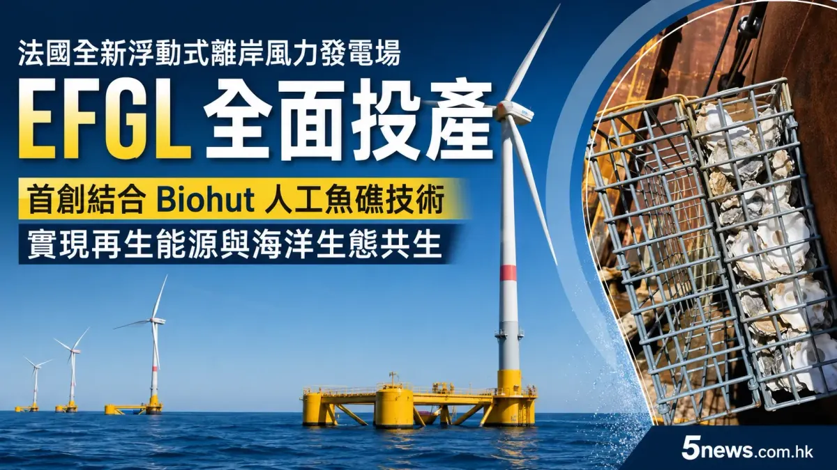 法國全新浮動式離岸風力發電場 EFGL 全面投產：首創結合 Biohut 人工魚礁技術，實現再生能源與海洋生態共生