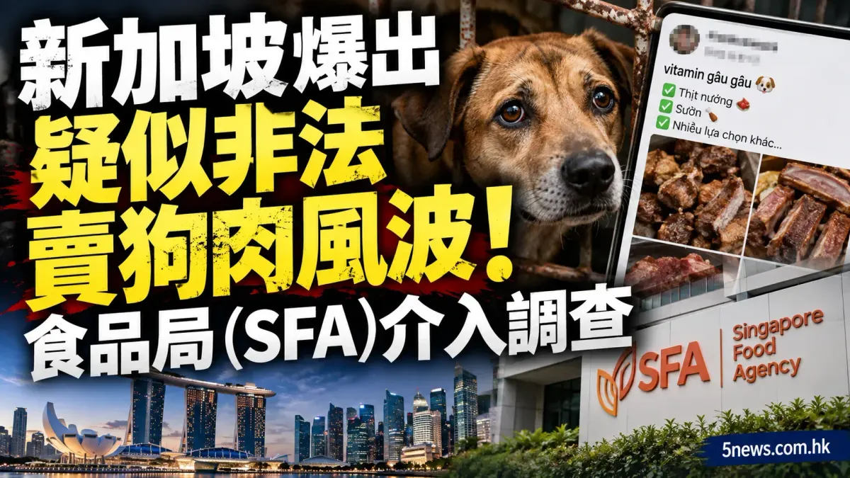 新加坡爆出疑似非法賣狗肉風波！食品局（SFA）介入調查