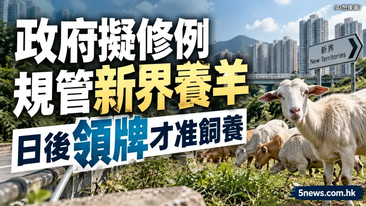 政府擬修例規管新界養羊　日後領牌才准飼養
