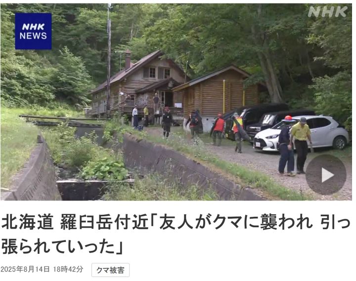 熊出沒注意| 北海道熊襲登山者 自保攻略＋防熊裝備一次睇清！(資料來源：NHK News)