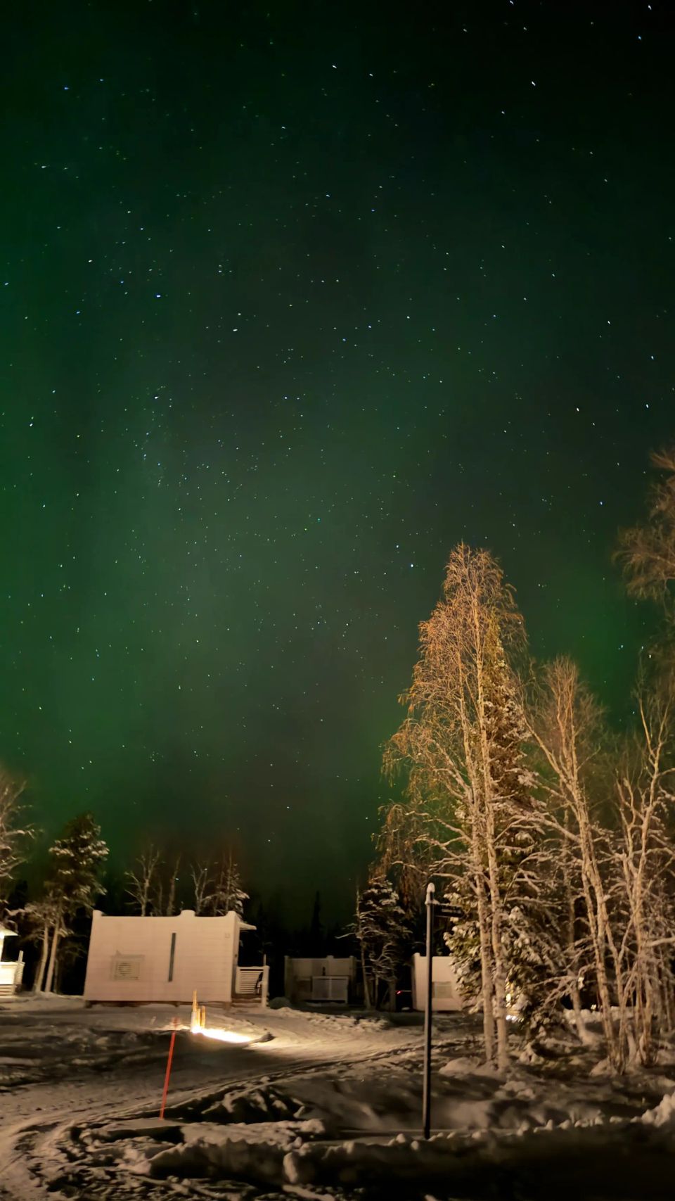 芬蘭Levi玻璃屋|漫天星空 Jacuzzi 北極光舞動 馴鹿陪食飯✨❄️💑