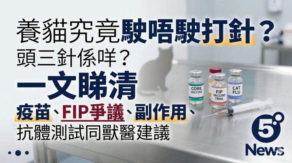 養貓究竟駛唔駛打針？頭三針係咩？一文睇清疫苗、FIP爭議、副作用、抗體測試同獸醫建議