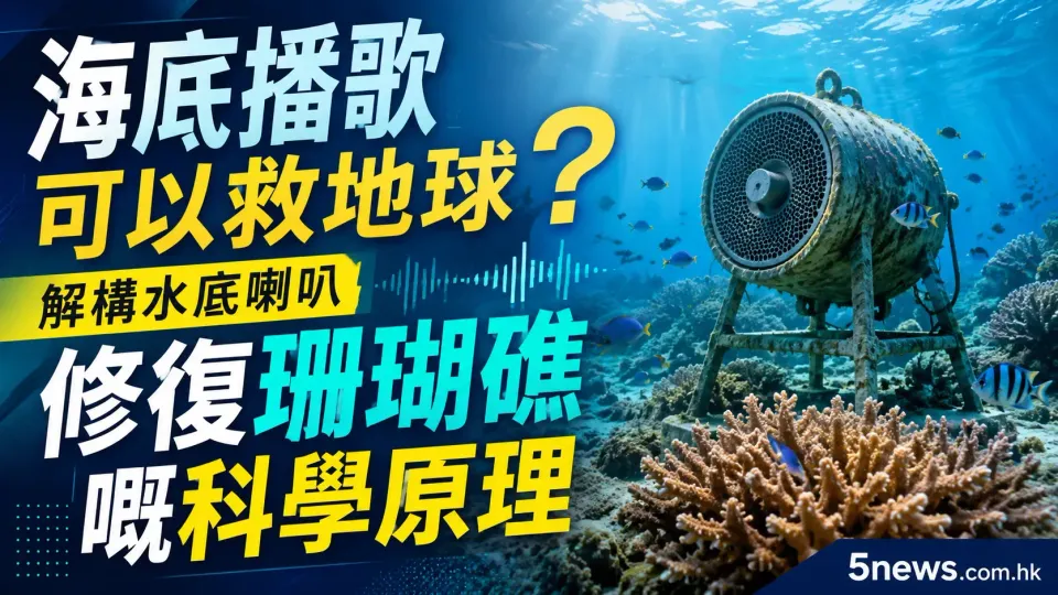 海底播歌可以救地球？解構水底喇叭修復珊瑚礁嘅科學原理