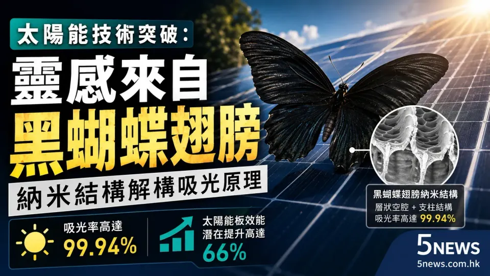 太陽能技術突破：靈感來自黑蝴蝶翅膀 納米結構解構吸光原理
