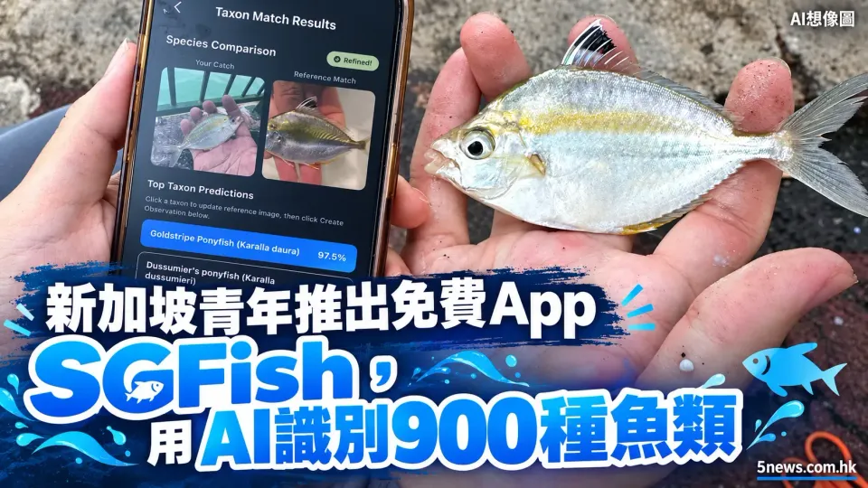 新加坡青年推出免費App SGFish，用AI識別900種魚類