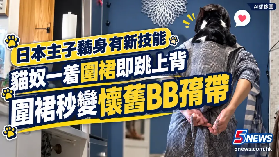 日本主子黐身有新技能　貓奴一着圍裙即跳上背　圍裙秒變懷舊BB孭帶