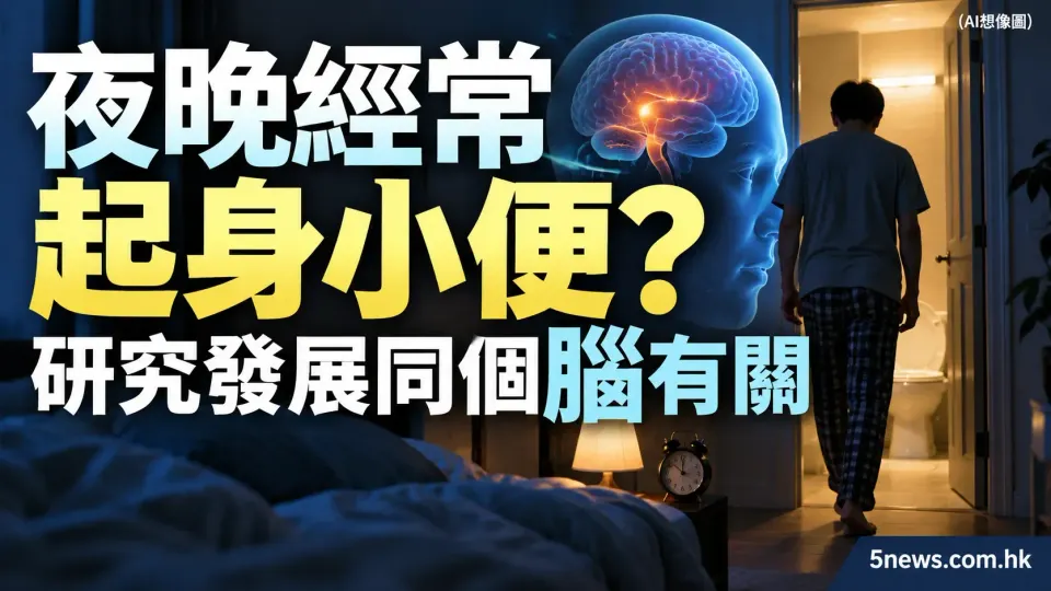 夜晚經常起身小便？研究發展同個腦有關