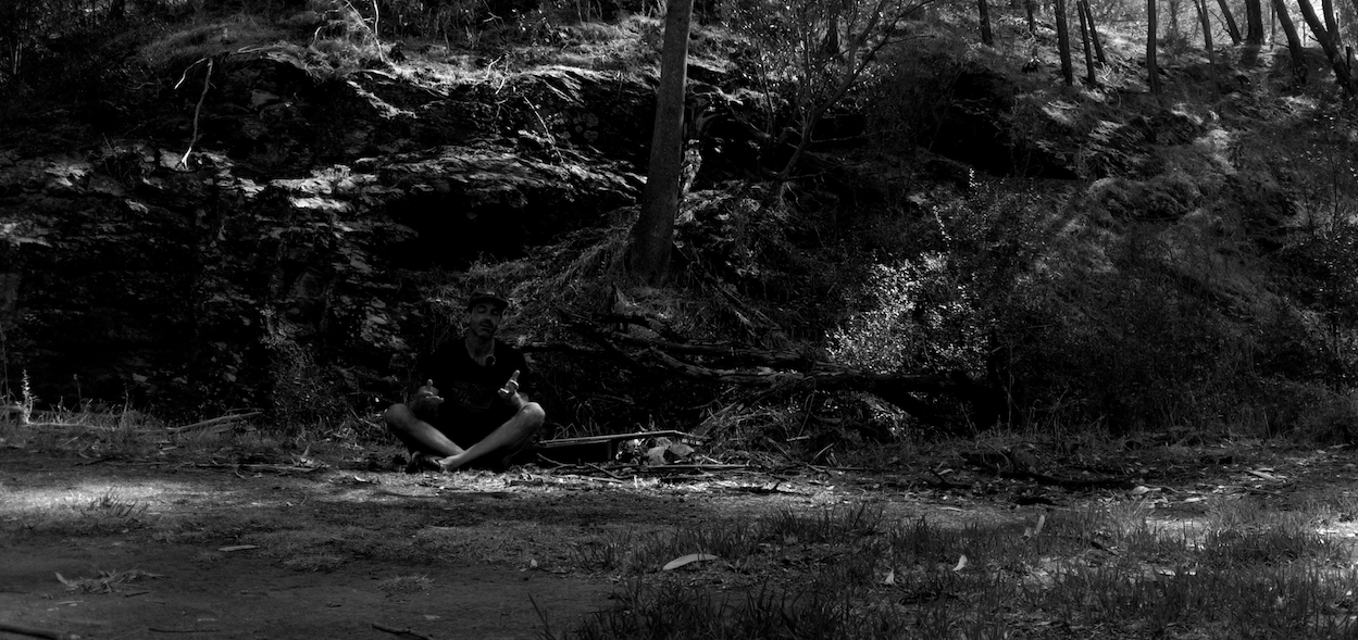 Wise Serpent Underground