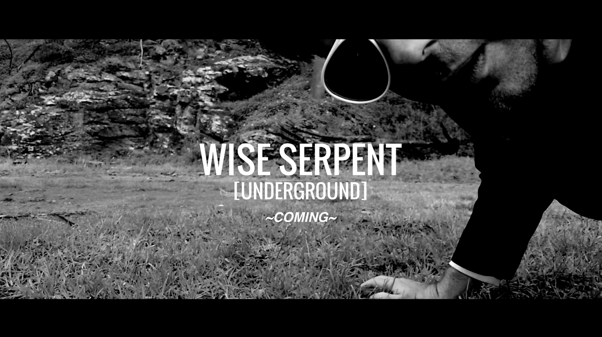 WISE SERPENT, Underground Vlog Series Announced