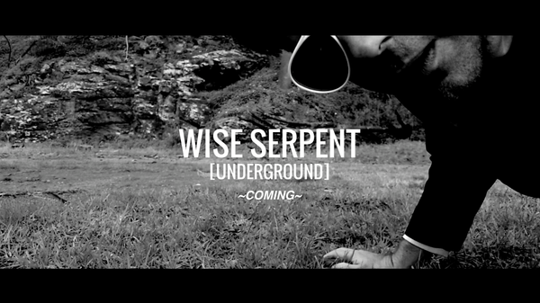 WISE SERPENT, Underground Vlog Series Announced