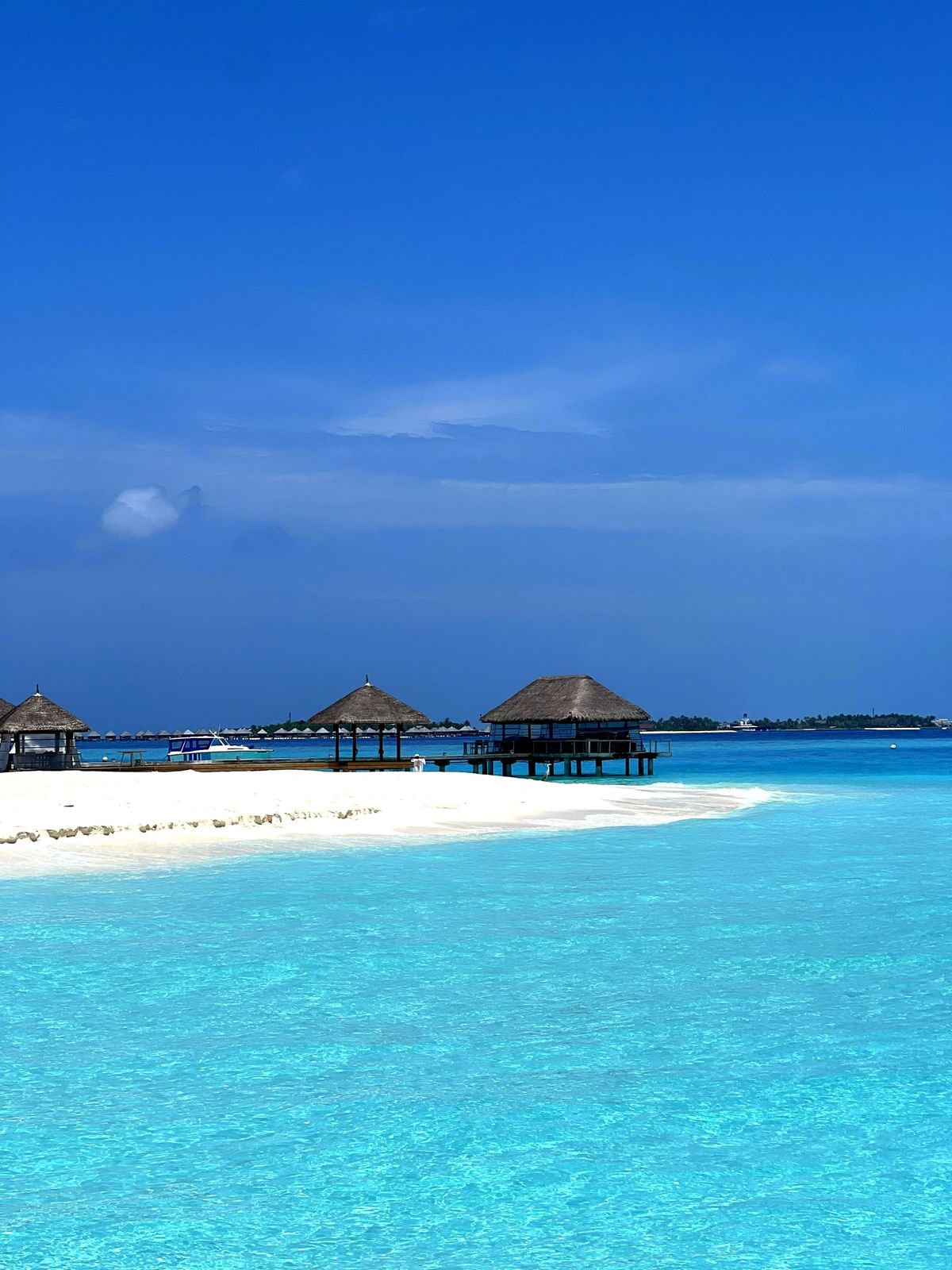 Otium: On the Sacred Discipline of Leisure