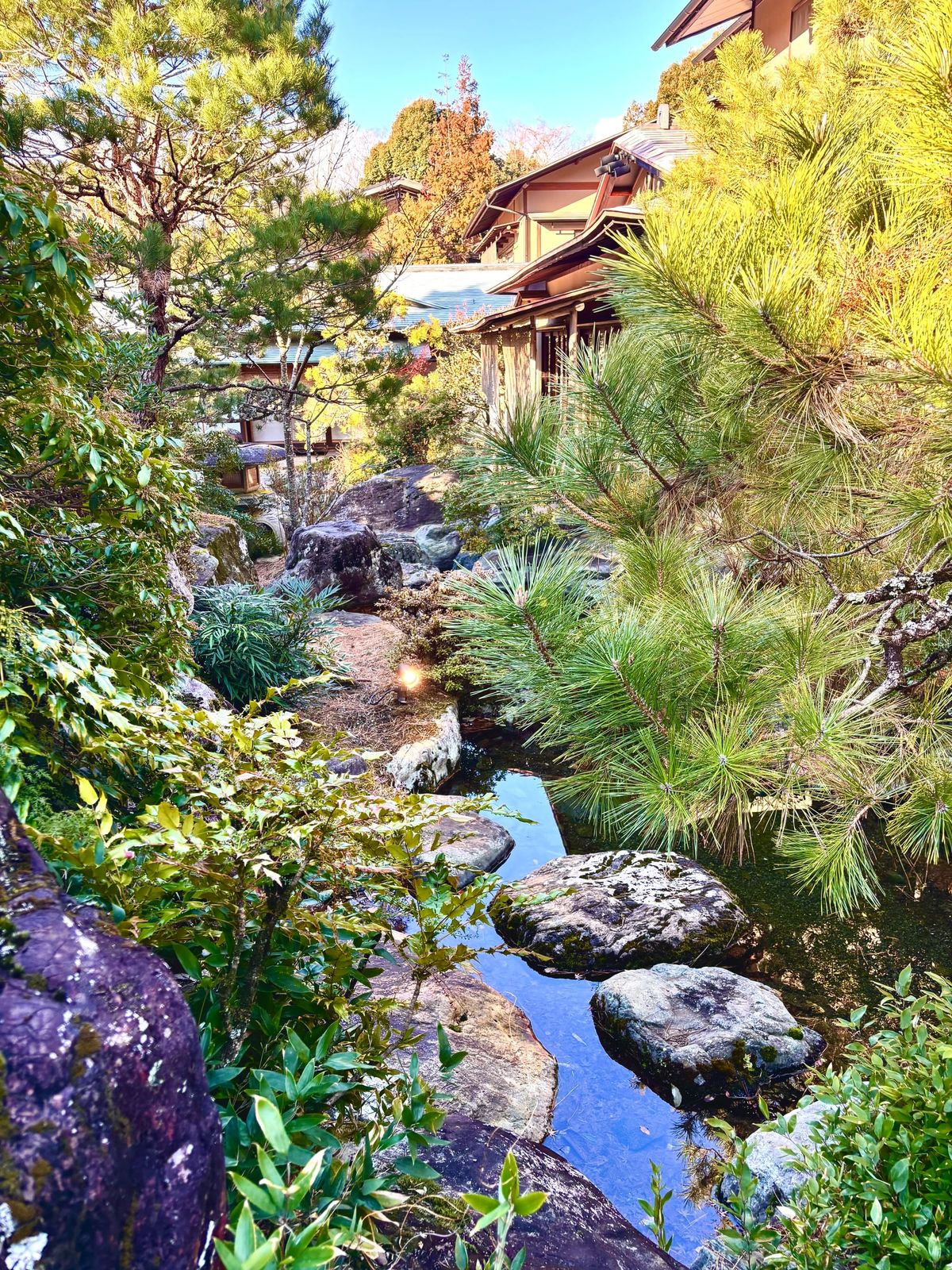 Shizuoka: Between Mountain and Sea