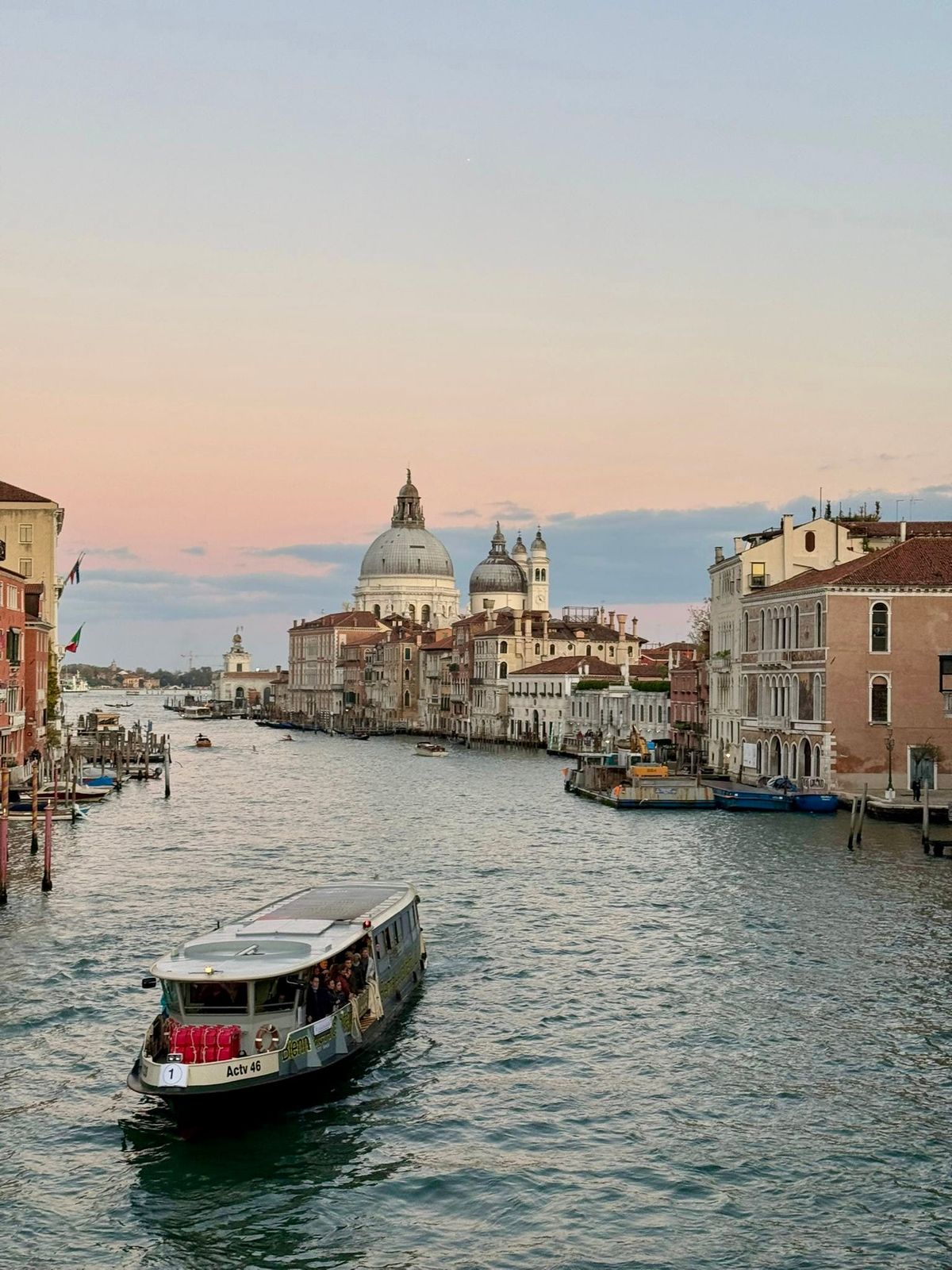 🌊 The Element of Mind: Water, Silicon, and the City That Thinks Itself