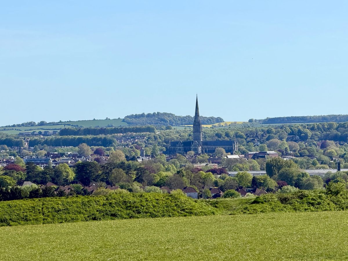 Salisbury and the Measure of Distance