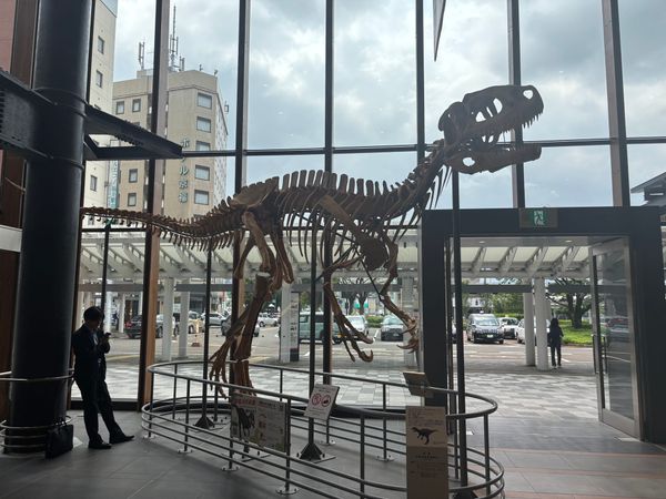 Getting Lost in Fukui