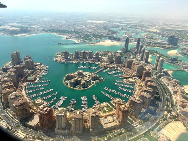 🏜️ Hic Transit Gloria Mundi: Reflections on the Desert Bloom