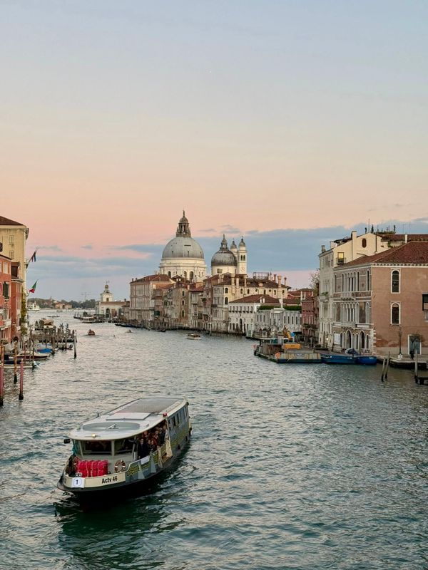 🌊 The Element of Mind: Water, Silicon, and the City That Thinks Itself