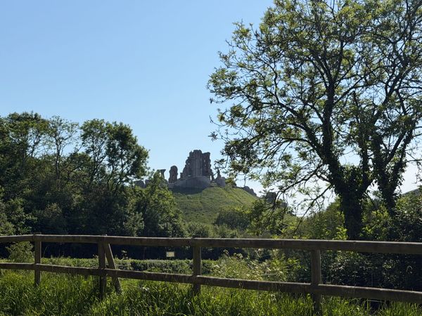The Freedom of Solitude: A Dorset Reflection