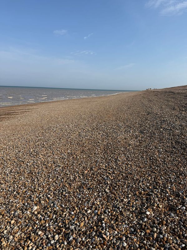 The Shore Where Things Return