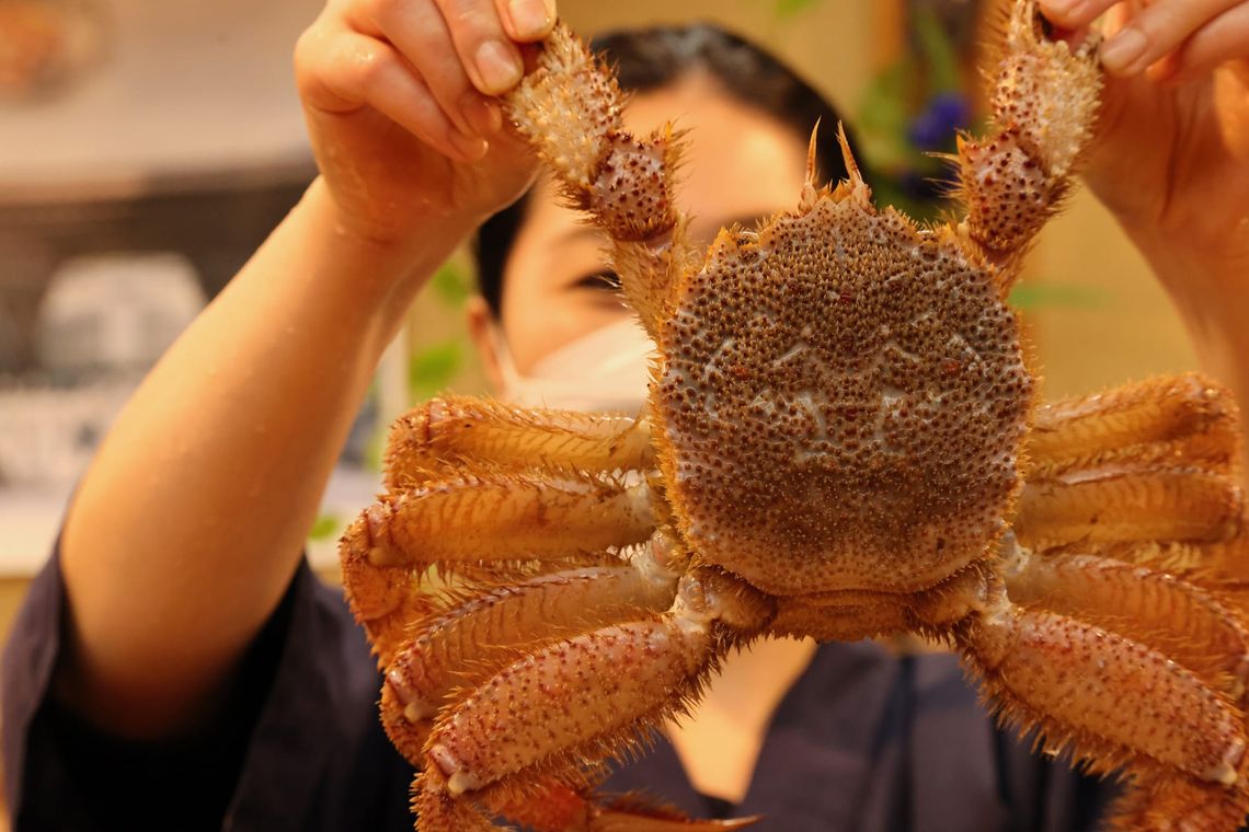 June 22, 2023 - Kanazawa: Omicho Market, Ninja Temple, Gyokusen-en