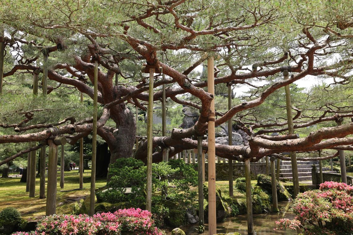 June 23, 2023 - Kanazawa: Kenrokuen Garden, Samurai District, back to Tokyo