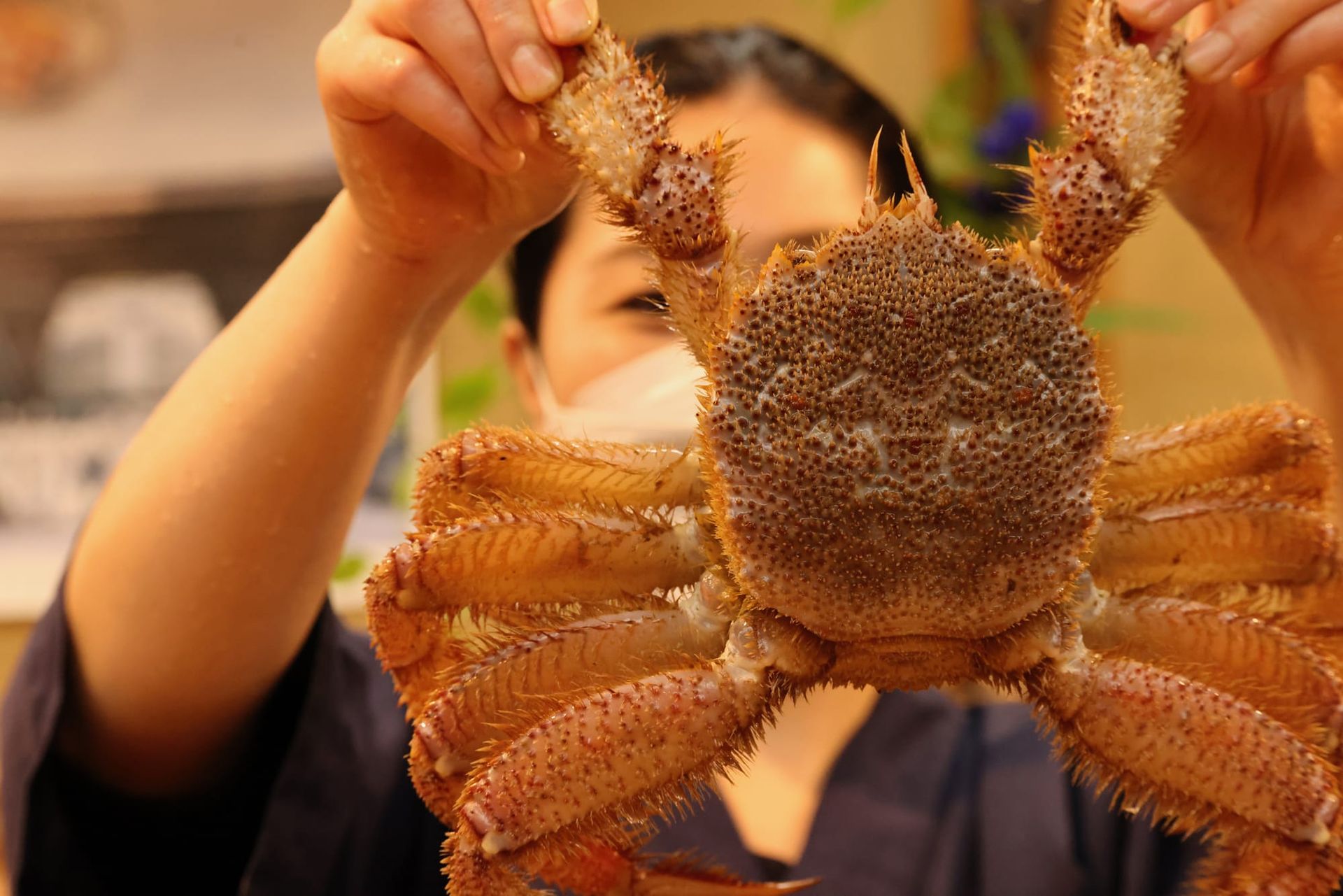 June 22, 2023 - Kanazawa: Omicho Market, Ninja Temple, Gyokusen-en