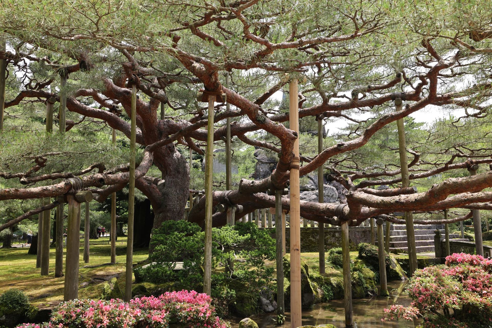 June 23, 2023 - Kanazawa: Kenrokuen Garden, Samurai District, back to Tokyo
