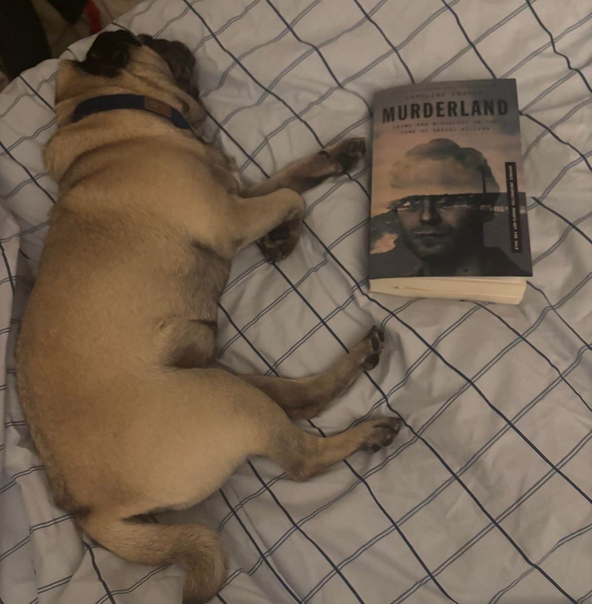 The Maris Review, vol 65