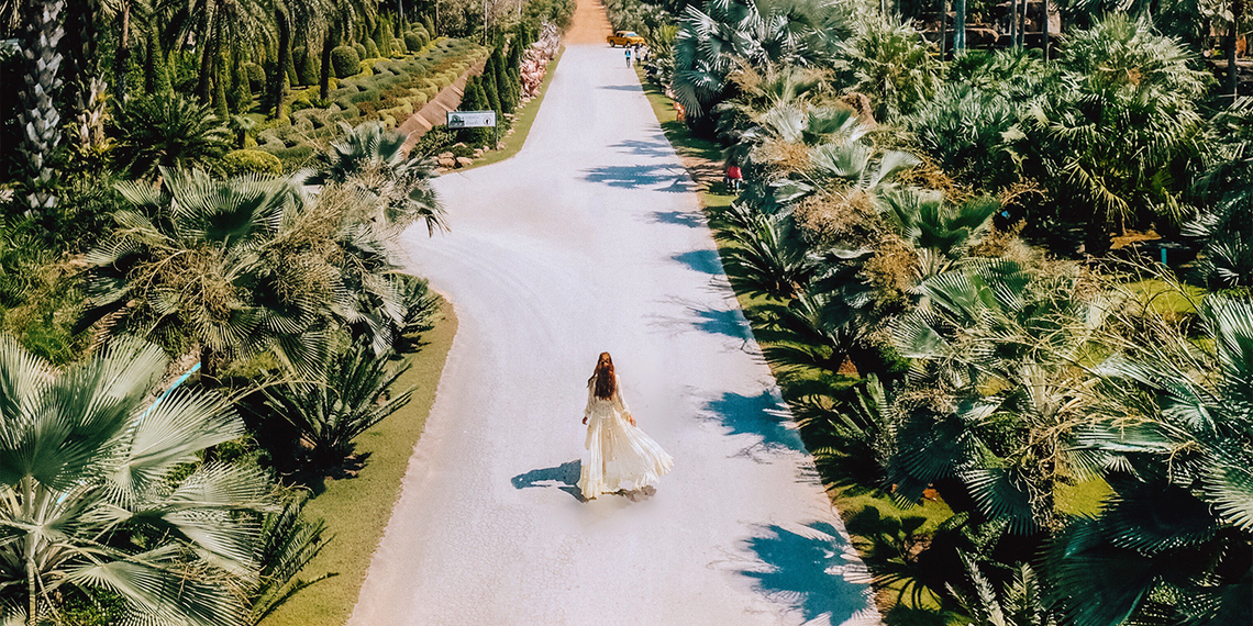 The Tale of Two Cities: Bangkok and Phuket