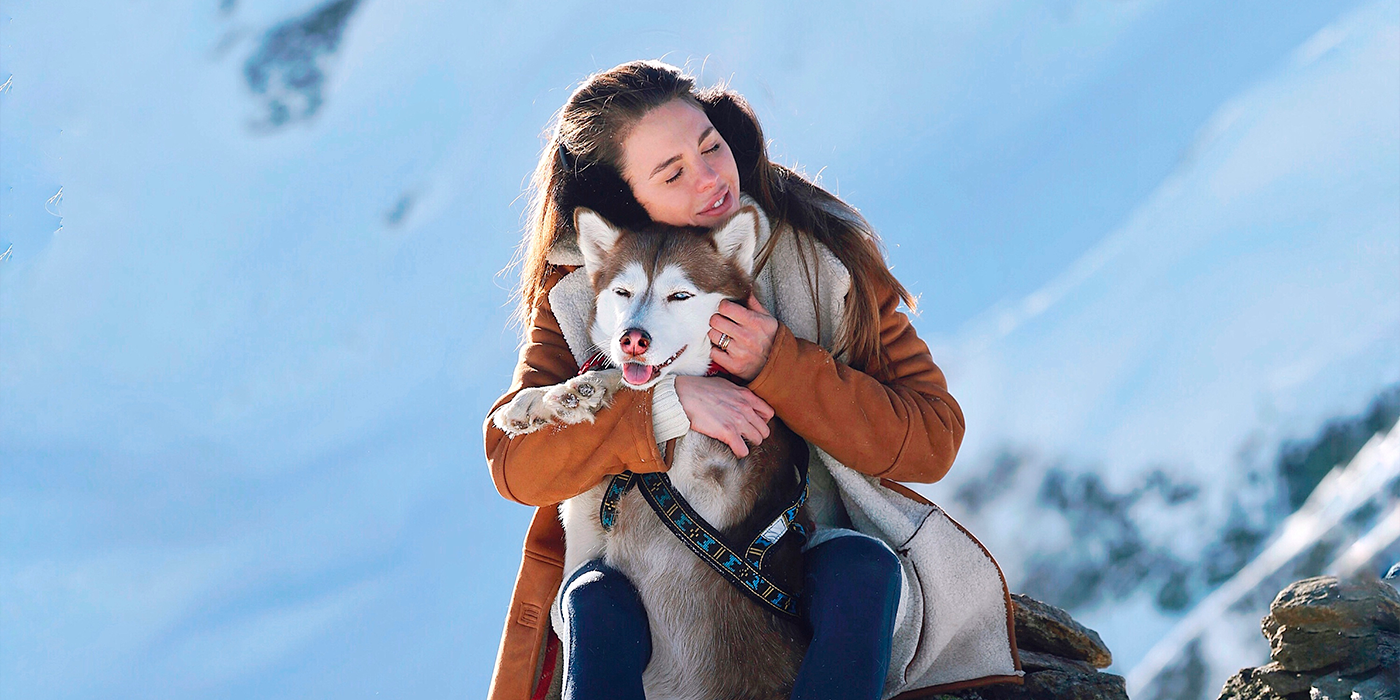 Austria: The Perfect Vacation for You and Your Husky