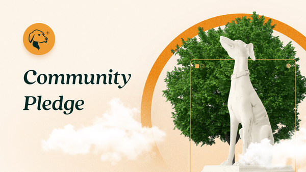 Tally Ho Is Pledging To Defend Web3.