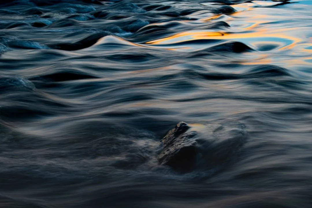 Next River