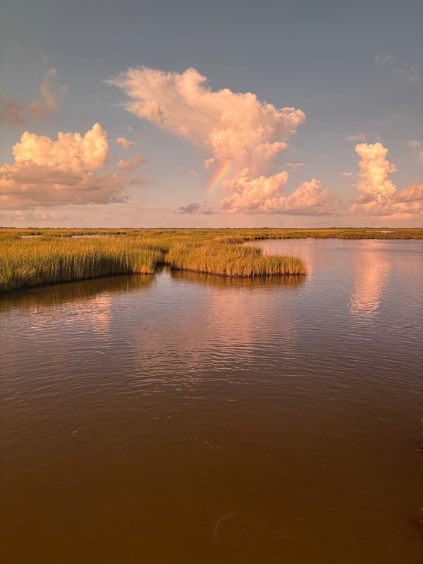 Trying To Reason With Redfish Season
