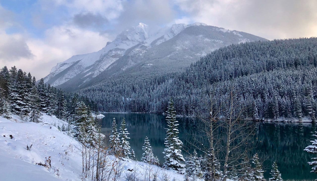 Wellness tips and self-care: fresh air