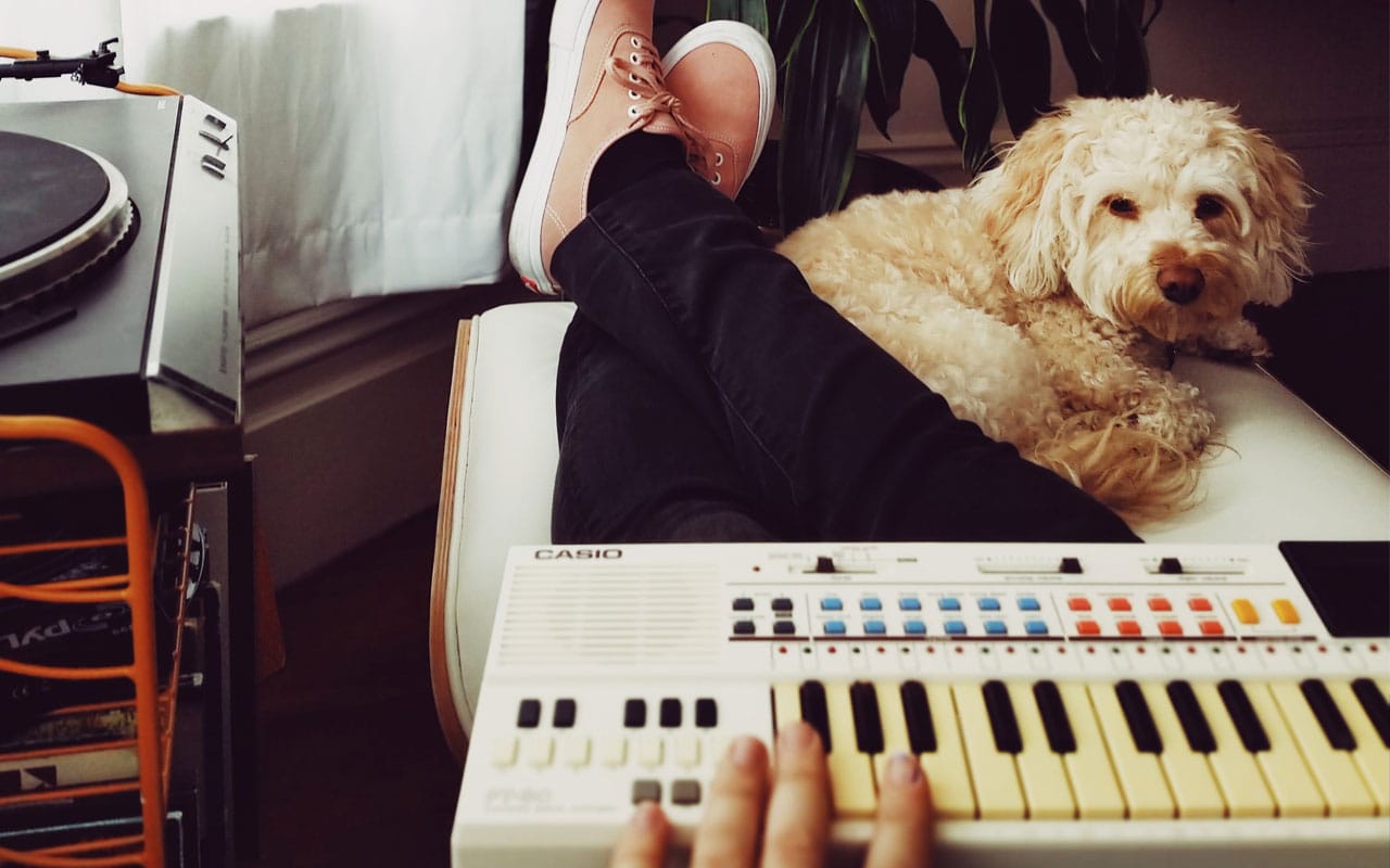 Wellness and self-care tips for musicians: spend time with animals