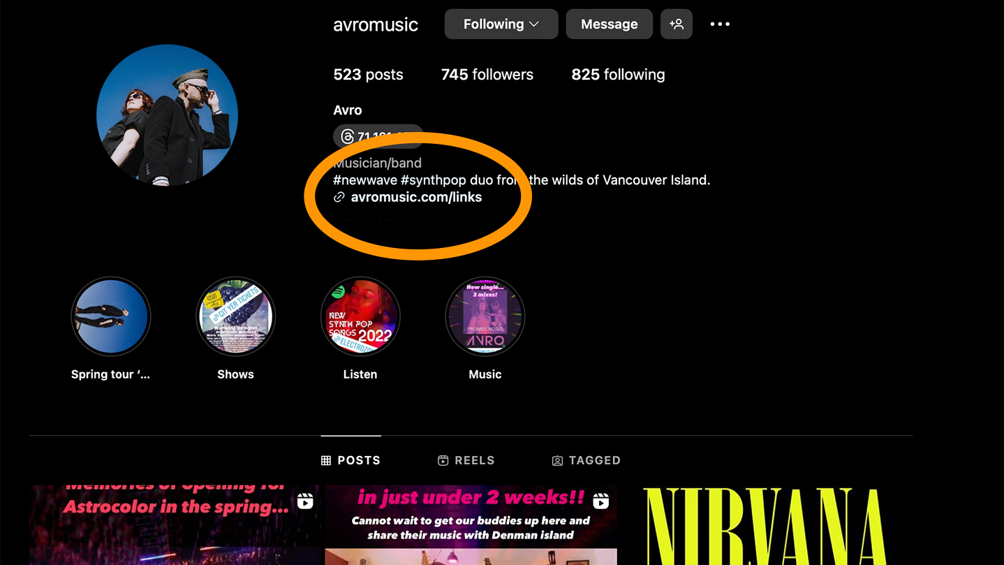 Screenshot of band Avro's Instagram profile