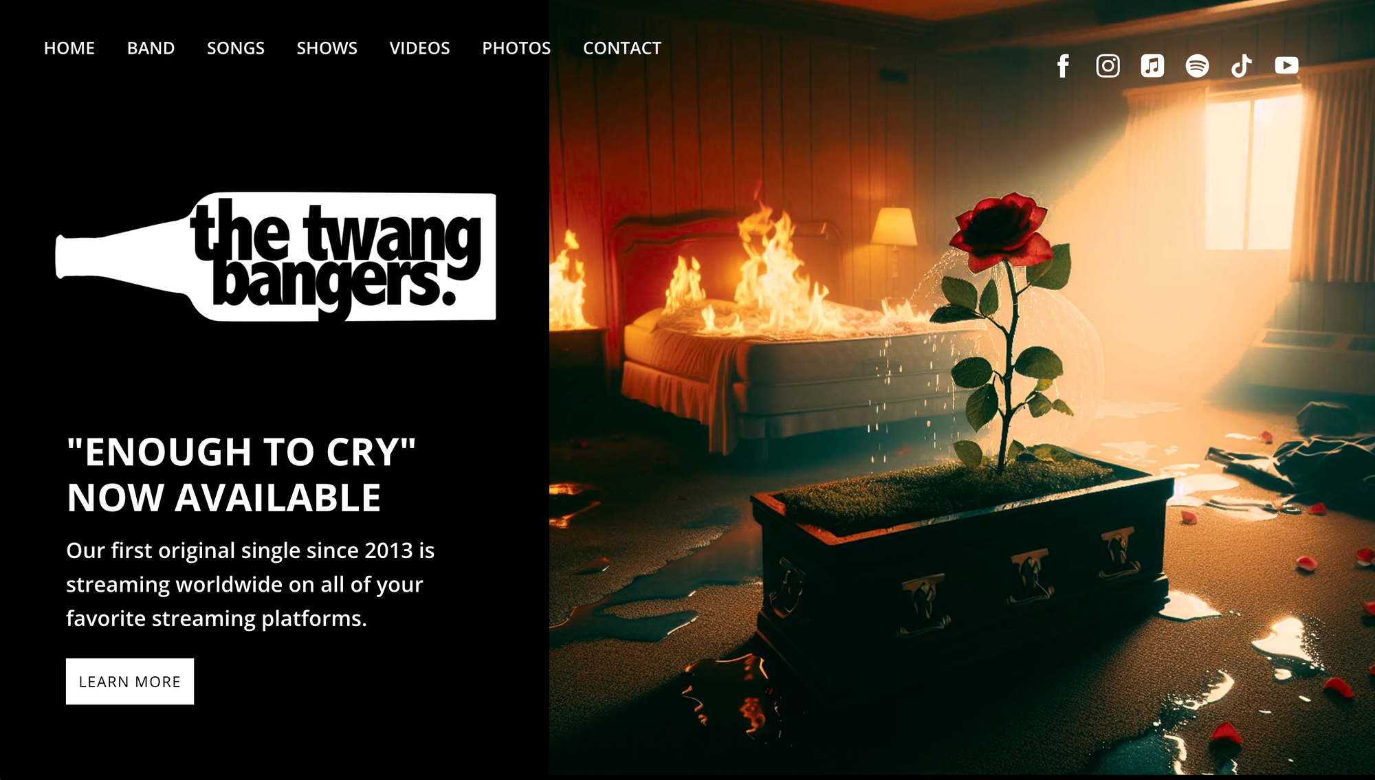 great musician websites