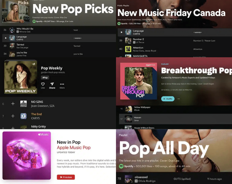 CARYS: A Case Study in Independent Artist Growth