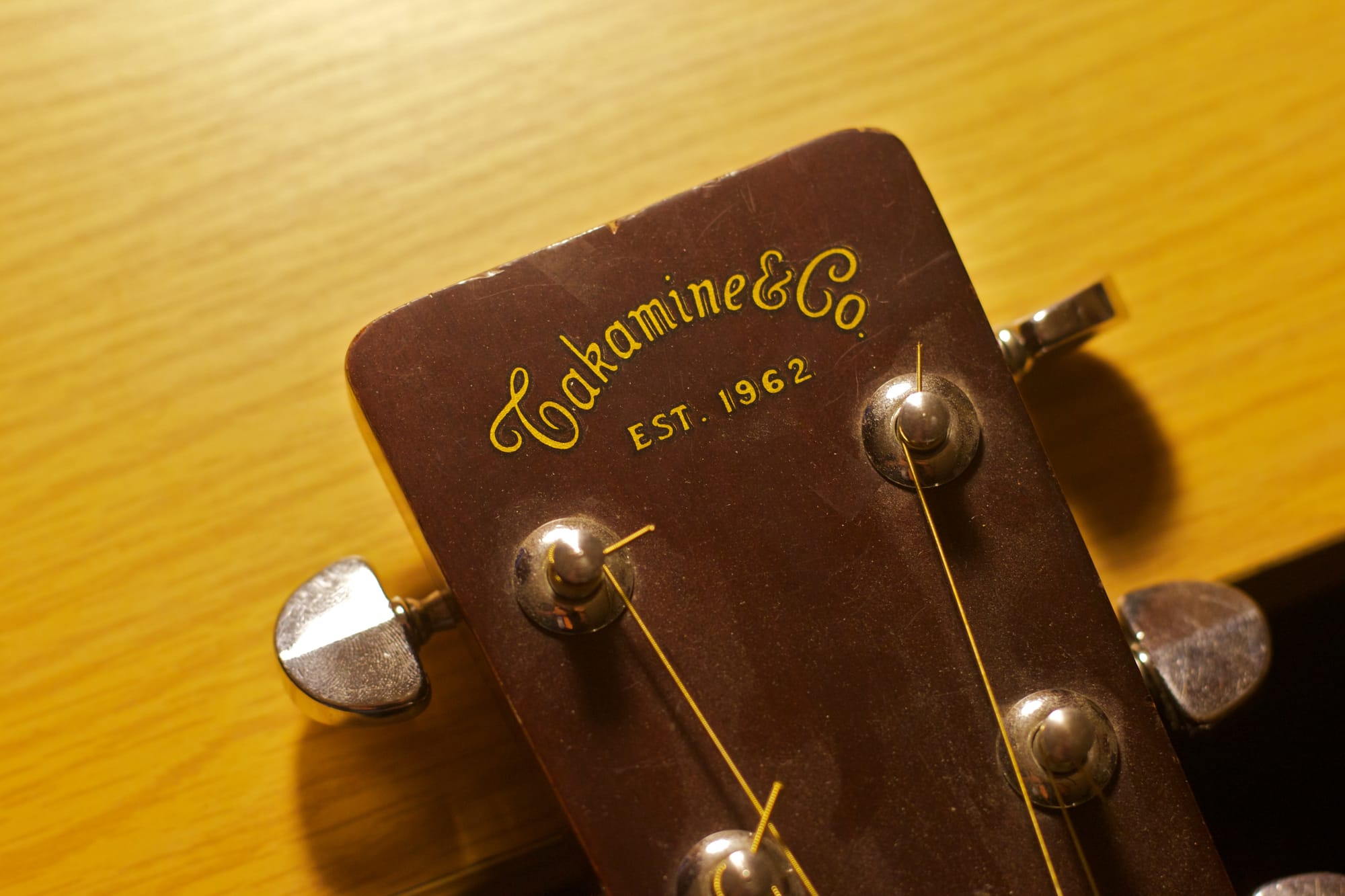 One year before me started this line of Martin copy guitars, mine I have had since 1978.-japanese-lawsuit-guitars